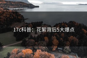 17c科普：花絮背后5大爆点