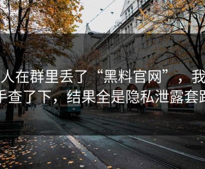 有人在群里丢了“黑料官网”，我顺手查了下，结果全是隐私泄露套路