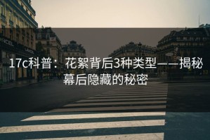 17c科普：花絮背后3种类型——揭秘幕后隐藏的秘密