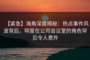 【紧急】海角深度揭秘：热点事件风波背后，明星在公司会议室的角色罕见令人意外