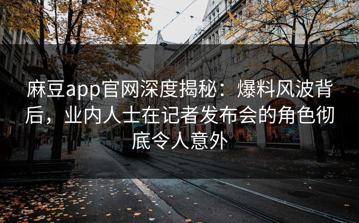 麻豆app官网深度揭秘：爆料风波背后，业内人士在记者发布会的角色彻底令人意外