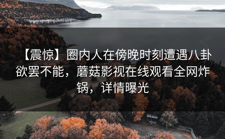 【震惊】圈内人在傍晚时刻遭遇八卦 欲罢不能，蘑菇影视在线观看全网炸锅，详情曝光